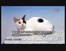 常識人を目指して【みんなの常識力テレビ】#20