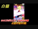 白猫　SAOコラボクエスト　TOWER攻略　白亜の塔３０階　キリト・アスナ・ユージオ・シノン・リーファ　ＳＡＯコラボ第２弾ガチャキャラ　＃３０　【白猫プロジェクト】