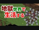 地獄世界で生活する #31 [ゆっくりMinecraft実況]