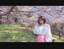 【桜の下で】ハルイチ。踊ってみた【いつき】