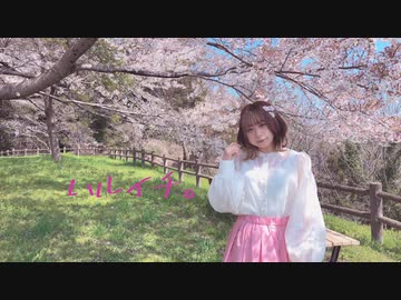 【桜の下で】ハルイチ。踊ってみた【いつき】
