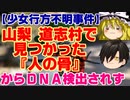 【ゆっくりニュースR】山梨･道志村で見つかった『人の骨』からDNA検出されず