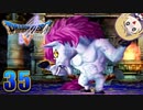 【DQ5】初見でわくわく勇者する！【35】
