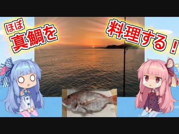 「(ギリ)真鯛」ゆるく楽しく気軽に料理！「ボイロゆっくり料理」