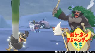 【実況】ポケネンアドベンチャーたて第37話