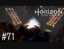 【ゆっくり実況】Horizon Zero Dawn その71