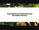Top_Cryptocurrencies_Catering_The_Cannabis_Industry