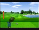 HTNが休日にゴルフをするようです.wiisports
