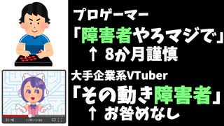 プロゲーマー「障害者」←8か月謹慎、VTuber「障害者」←何もなし