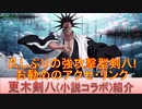 BLEACH ブレソル実況 part2478(キャラクター紹介:第367回更木剣八(小説コラボ)紹介)