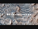 Niwov - Perseverance