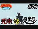 【縛り実況】死中に活を見出すドンキーコングトロピカルフリーズ協力プレイ#13