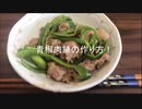 青椒肉絲を作りました/初音ミク