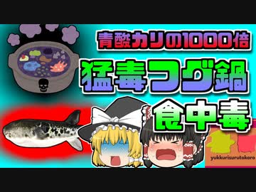 【1963年福岡】青酸カリの1000倍　相撲部屋で振舞われた「猛毒フグ鍋」【ゆっくり解説】