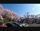 【よってって】仁柿峠～三多気【みえ！】