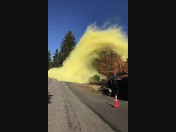 ホモと見るスギ花粉