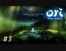 何もなす気のない勇者がいるらしい【Ori and the Will of the Wisps】#3