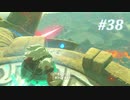 【ゼルダの伝説BotW】実況プレイ-part38-