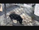 ちょいとお花見 2021/04/05(月) 14:28開始