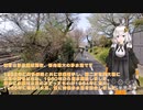 紲星あかりと行く春の多摩湖自転車歩行道８