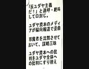 【リチャード・コシミズ   ： 「『ユダヤ金融資本』への批判を、『ユダヤ人全体』への批判にすり替える 」】