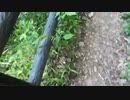 【ムー民】決死のUFO山ハイキング part.1【X-ファイル】