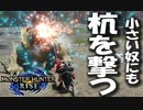 【STEAM版】モンハンライズ『ジンオウキッズにも杭を撃て！』