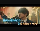 【ニコカラ】ミックスナッツ《ヒゲダン》アコギガイドメロなし±0
