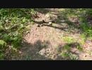 【ムー民】決死のUFO山ハイキング part.2【X-ファイル】