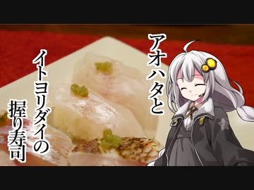 釣れなくても料理！アオハタとイトヨリダイの握り寿司！【VOICEROIDキッチン】