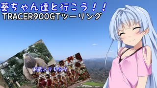 葵ちゃん達と行こう！！第20話「俺がもぅvivi…」