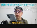 【コメント有】ニンポー 2022年05月05日11時25分 何これ【ニコ生録画】