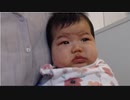 小幡友美「ハルジオン」を歌う