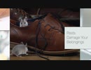 Pest Solutions