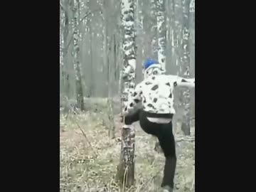 ホモと見る　自然の怒り