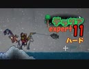 【ゲーム実況】アップデートされたテラリアを上級モードのハードで遊ぶ 11【テラリア】