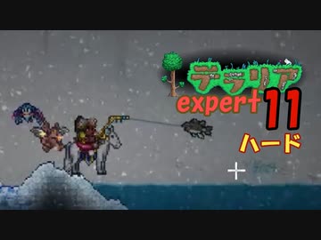 【ゲーム実況】アップデートされたテラリアを上級モードのハードで遊ぶ 11【テラリア】