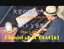 【ジブリ】天空の城ラピュタより「ハトと少年」を弾いてみた【ピアノ】
