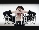【とまこ】食虫植物【踊ってみた】
