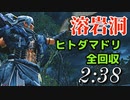 MHRise 溶岩洞 鳥集め 2分38秒
