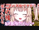 褒められて気持ちよくなる名取さな【切り抜き】