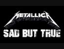 Metallica - Sad But True [歌詞.和訳.解説]