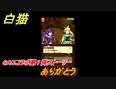 白猫　ソードアートオンラインコラボ第１弾ストーリー　ありがとう　キリト・アスナ・ユウキ・アリス・シノン・リーファ・ユナ　ＳＡＯコラボ第１弾ガチャキャラ　＃３７　【白猫プロジェクト】
