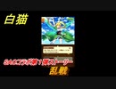 白猫　ソードアートオンラインコラボ第１弾ストーリー　乱戦　キリト・アスナ・ユウキ・アリス・シノン・リーファ・ユナ　ＳＡＯコラボ第１弾ガチャキャラ　＃４０　【白猫プロジェクト】