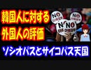 【韓国の反応】 韓国人に対する 外国人の 評価がこちら → 「その通りです」