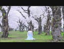 【桜の下で】ゆめまぼろし 踊ってみた【もなてら】
