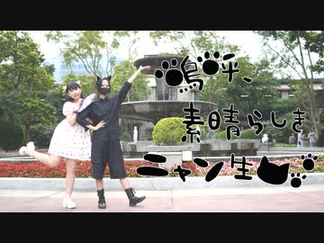【Momoko × 23】嗚呼、素晴らしきニャン生【踊ってみた】