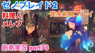 □■ゼノブレイド2を初見実況プレイ part73【姉弟実況】