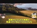 【DNAミステリー】家族の謎・100年前の赤ちゃん取り違え【ゆっくり解説】