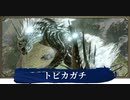 【VOICEVOX実況】のんびり（縛りあり）狩り日和【MHRise】part 20
